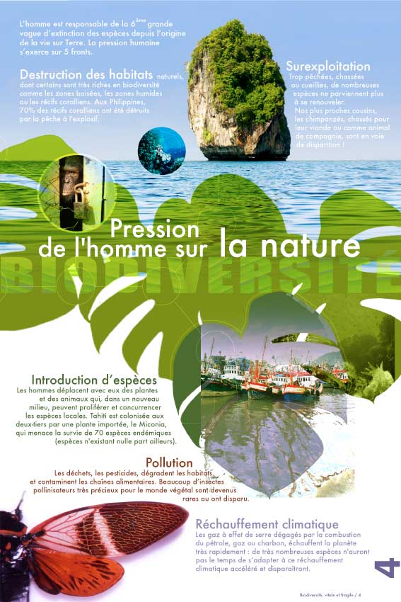 Exposition Biodiversité, vitale et fragile - pression de l'homme sur la nature