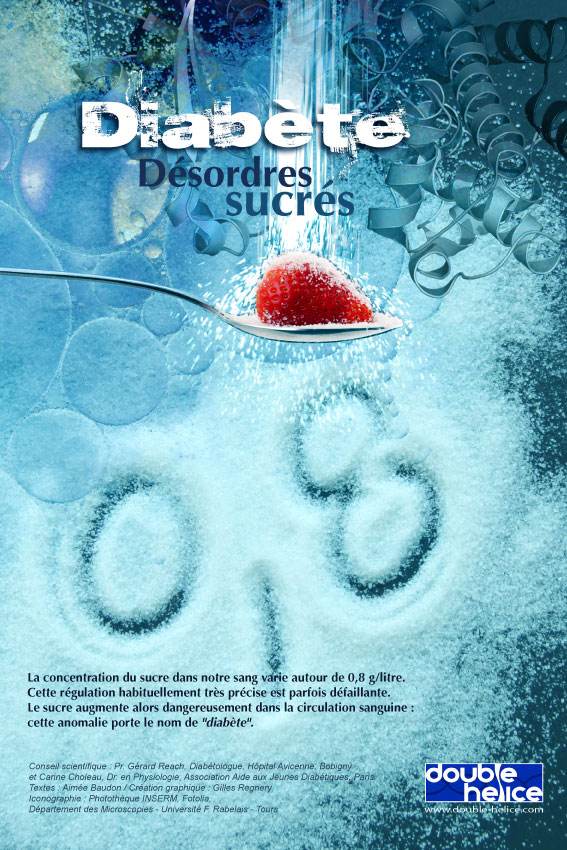 Exposition diabète - désordre sucrés