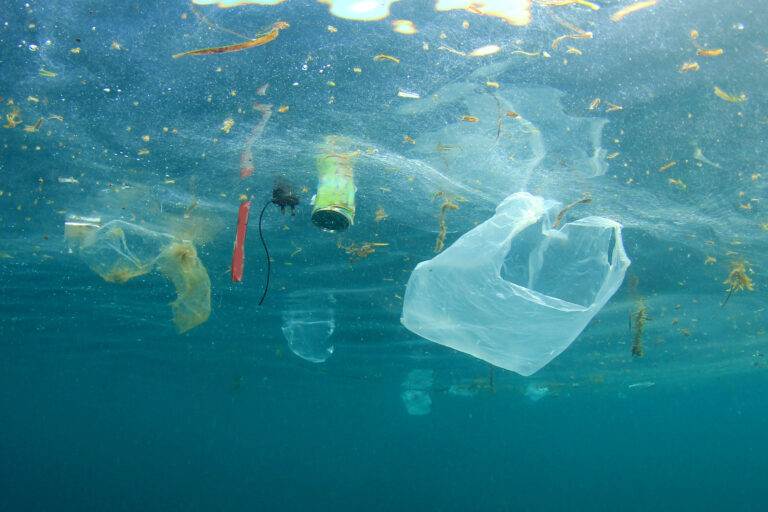 pollution plastique en mer