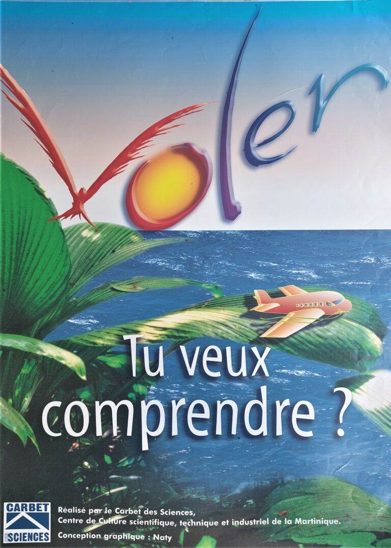 Voler, tu veux comprendre ?